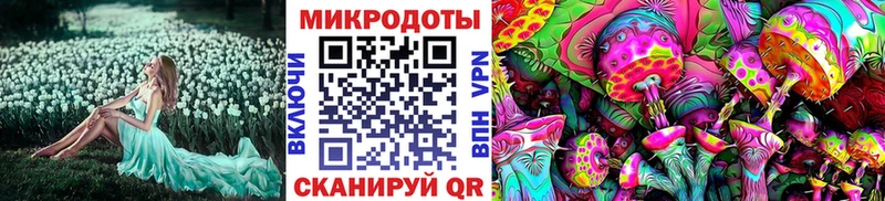 Купить где  Баксан  Галлюциногенные грибы Psilocybine cubensis 